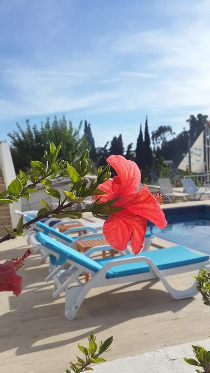 Sisyphos Hotel Kaş Eksteriør billede